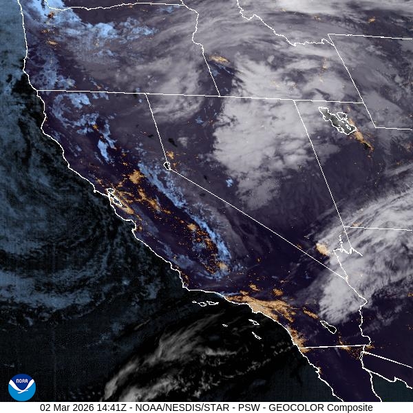 Enjoy Spring Weather: Sunny & Mild Forecast for the Netherlands
